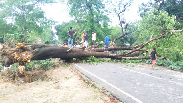 কালবৈশাখীর তাণ্ডব, ধ্বংস কৃষকের ৬৫ হেক্টর জমির ফসল