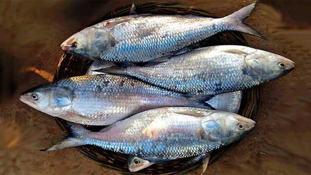 পহেলা বৈশাখ ঘিরে নাগালের বাইরে ইলিশের দাম