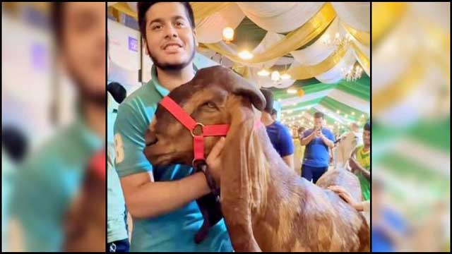 ইফাত আমার ছেলে নয়, আইনি পদক্ষেপের হুঁশিয়ারি রাজস্ব কর্মকর্তার