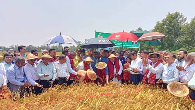 কৃষকদের উন্নয়নে সরকার কাজ করছে : কৃষিমন্ত্রী