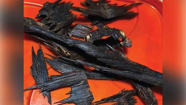 আগর চাষ, পাহাড়ের সুগন্ধ ছড়াচ্ছে বিদেশে