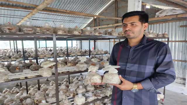 আখাউড়ায় মাশরুম চাষে তরুণ উদ্যোক্তা