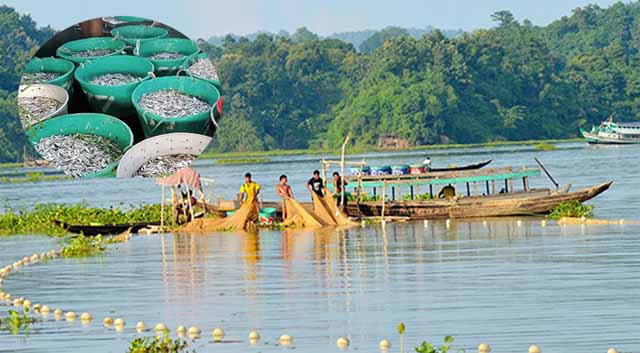 কাপ্তাই হ্রদ থেকে ১৫ দিনে ২ কোটি টাকার রাজস্ব আদায়