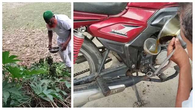 গাছের রসেই দৌড়াল ইঞ্জিন ডিমলায় জ্বালানি বিস্ময়