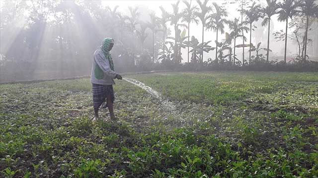 টানা তিন দিন ধরে দেশের সর্বনিম্ন তাপমাত্রা তেঁতুলিয়ায়