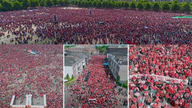 ইসরায়েলের বিরুদ্ধে নেদারল্যান্ডসে লাখো মানুষের অভূতপূর্ব বিক্ষোভ