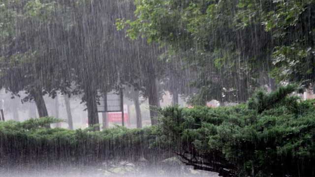 বৃষ্টি নিয়ে নতুন বার্তা আবহাওয়া অধিদপ্তরের